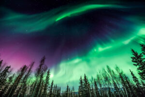 Alaska in winter.