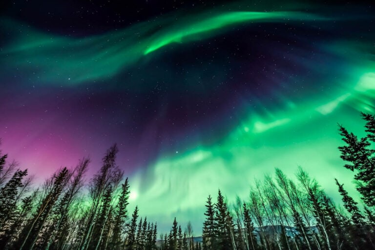 Alaska in winter.