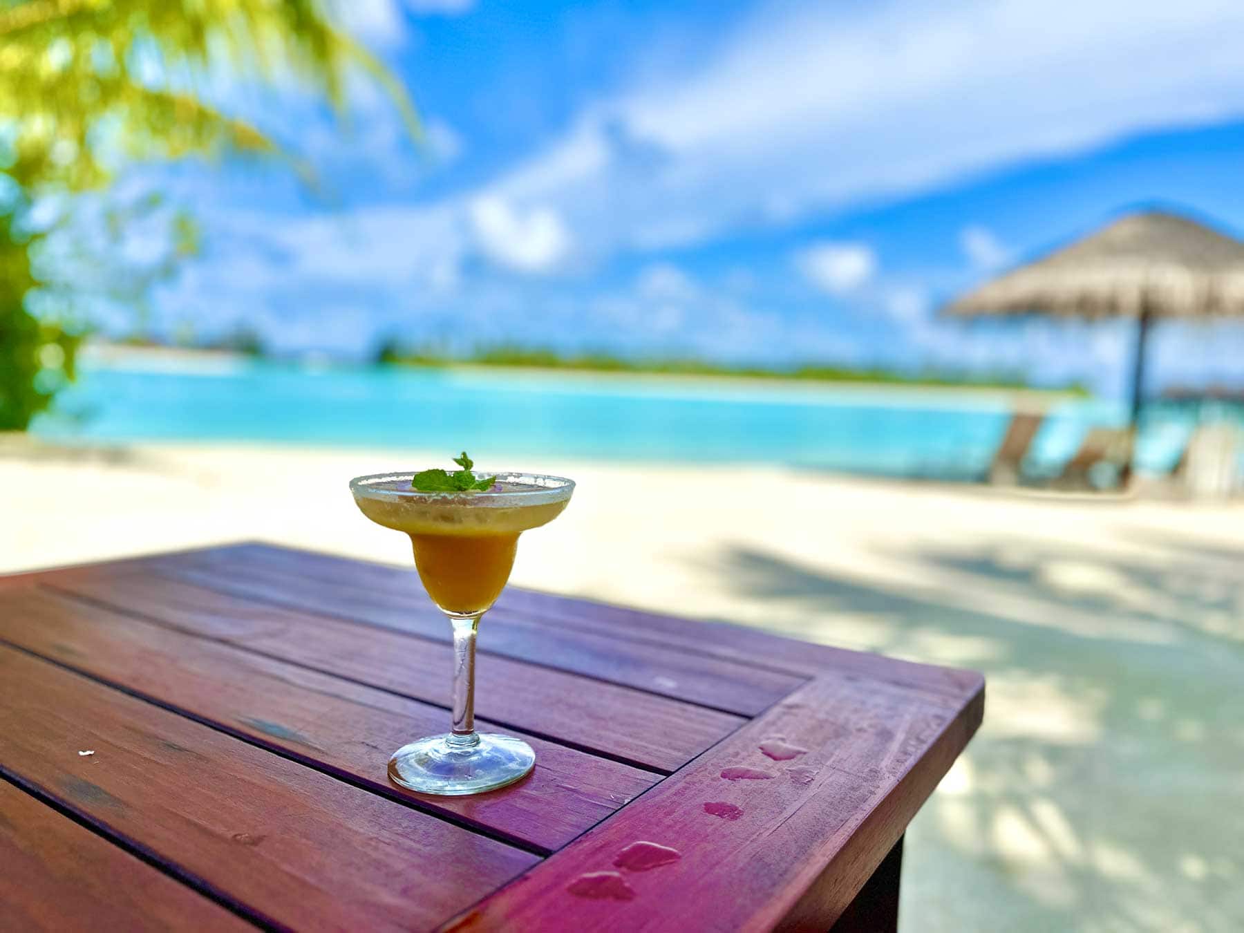 Enjoying a tropical drink at Sun Siyam Olhuveli, an all-inclusive luxury resort in the Maldives. Photo by Janna Graber