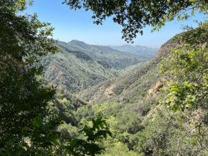 A Review of the Black Star Canyon Hike in Orange County, CA: Is It Worth It?
