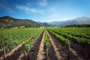 California wine country vacation