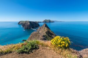 Channel Islands in California