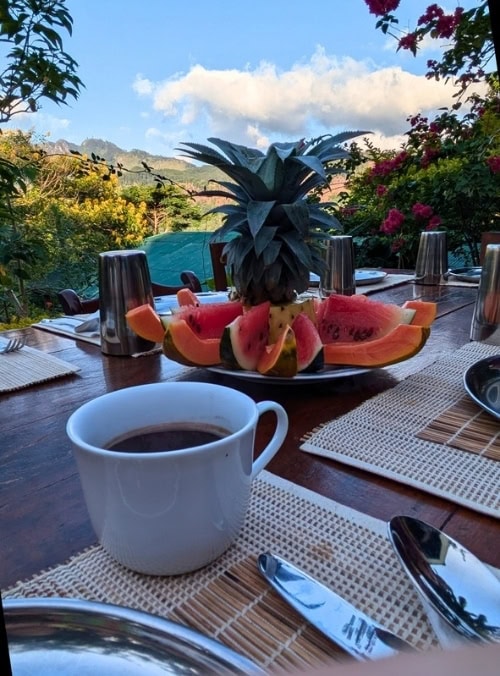 A mug of coffee, table settings, and a cut fruit display on a table outdoors, with a view of green hills