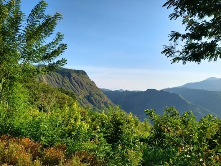 An overlook of green-covered hills from Amba Estate