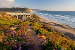 Winter travel to Torrey Pines beach in Sand Diego, California