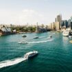 Sydney, Australia. Photo by Dan Freeman, Unsplash