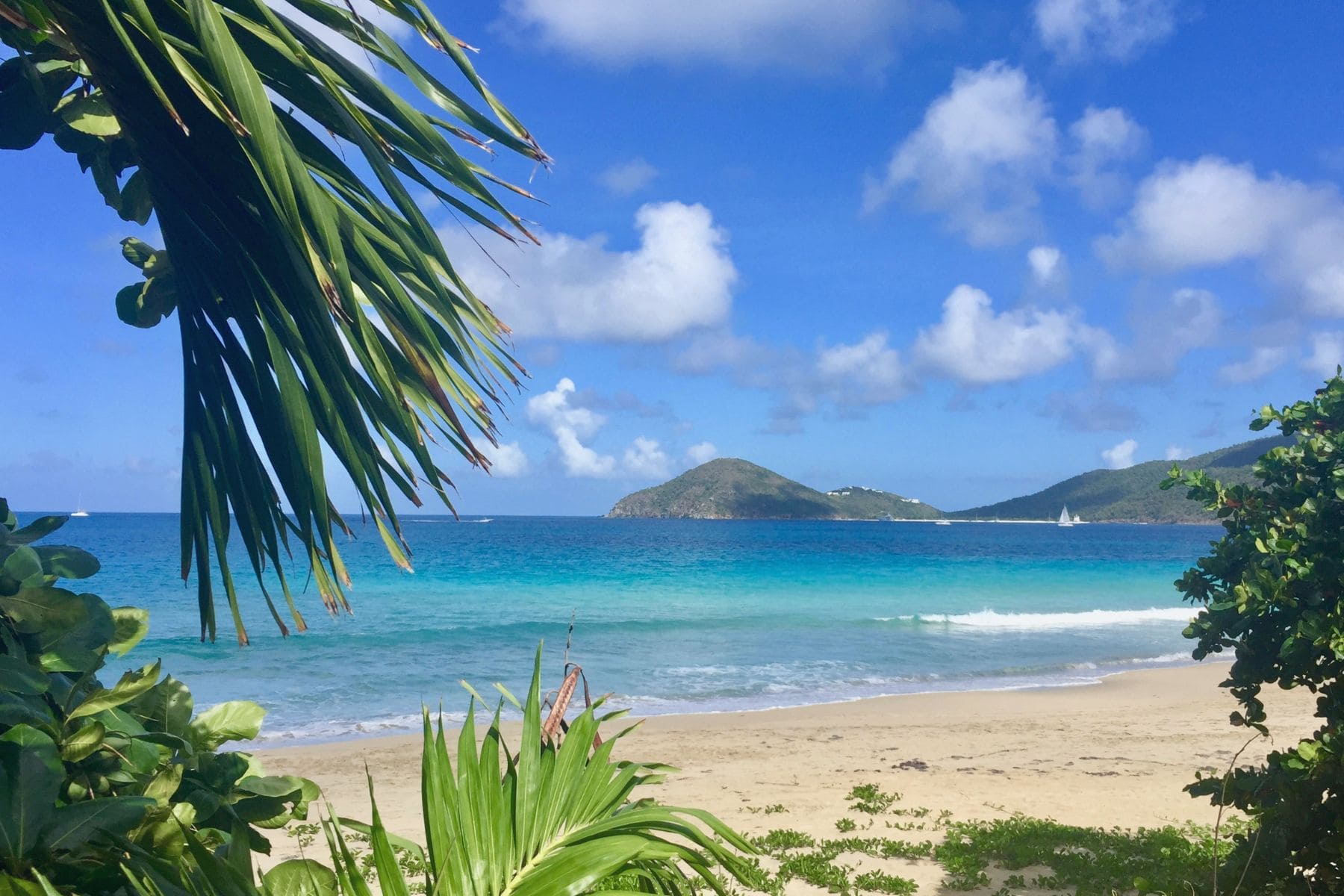 Tortola