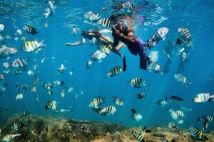 Underwater Barbados. Photo courtesy of Visit Barbados