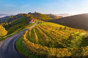 Europe for Wine Lovers: 8 Wine Regions to Visit