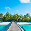 Beautiful ocean view in the Maldives. Photo by Canva